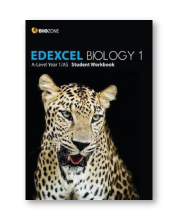 Edexcel for AS & A2