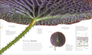 Flora : Inside the Secret World of Plants - Book - 8